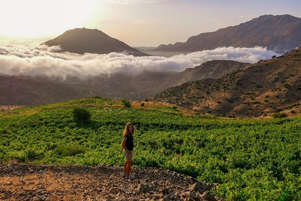 Grape travel / Κρήτη