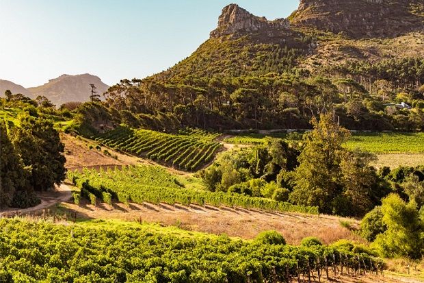 Grape Travel / Νότια Αφρική