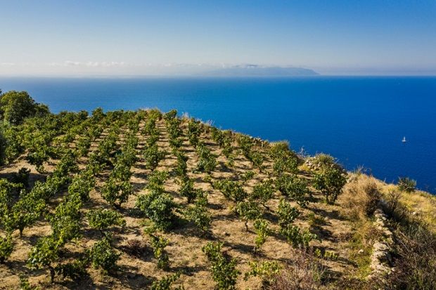Grape Travel: Στα νησιά του Ιονίου