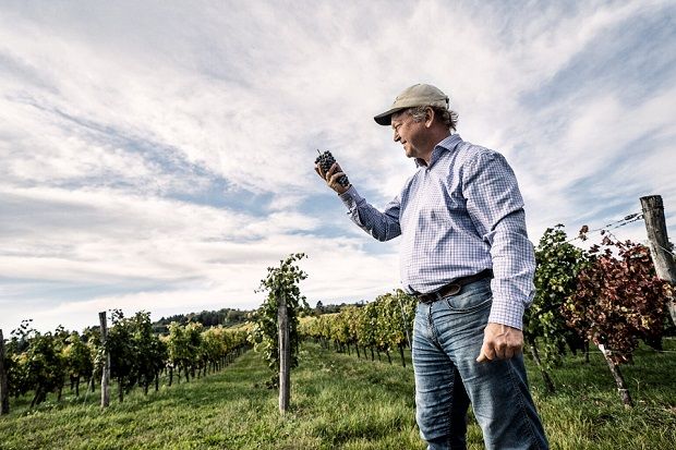 Grape travel: Στη Βιέννη με τον Φριτς Βίνινγκερ