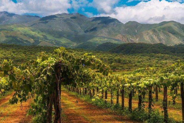 Grape Travel: Στην Αργεντινή, τη χώρα του Malbec