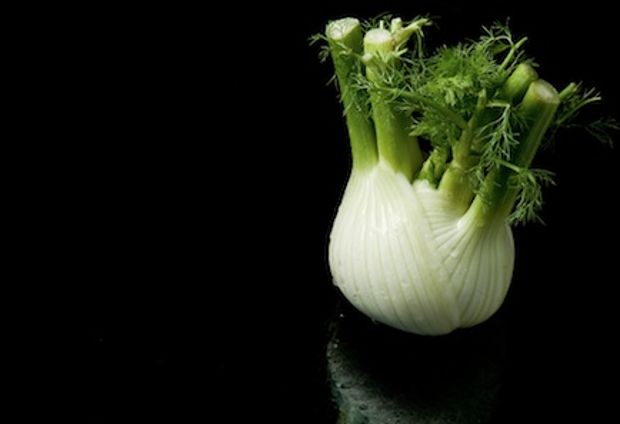 Άγριο μάραθο και μαραθόριζα (φινόκιο)