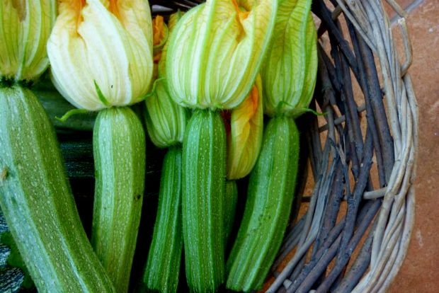 Η αποδόμηση της κολοκυθόπιτας