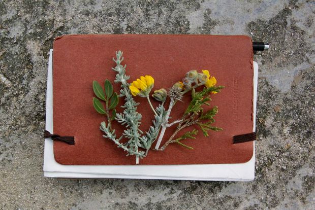 Η ατζέντα: επιδοτήσεις και γάλα στα νηπιαγωγεία