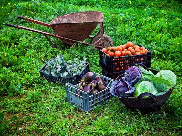 Η Ελλάδα μπορεί