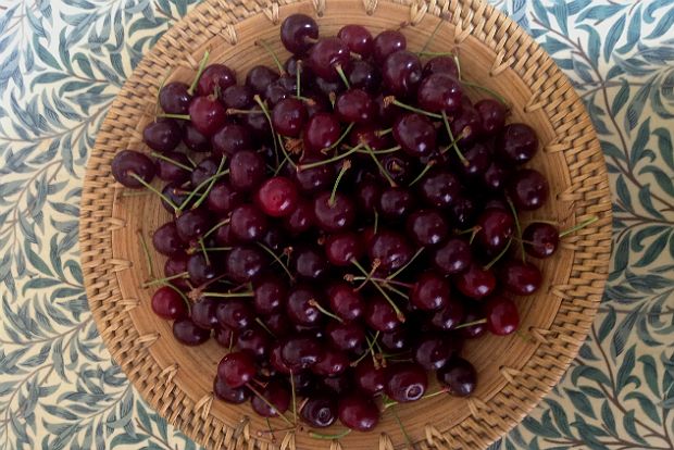 Η ιεροτελεστία της βυσσινάδας