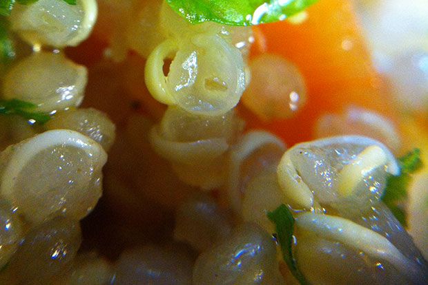 Η κινόα και το φαινόμενο της πεταλούδας