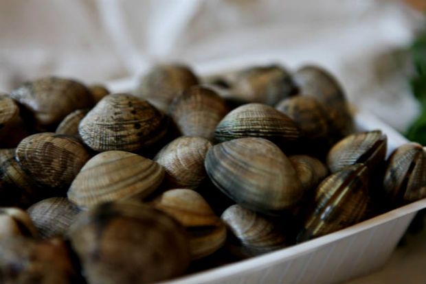 Η μακαρονάδα της Πέμπτης: η θάλασσα στο πιάτο μου