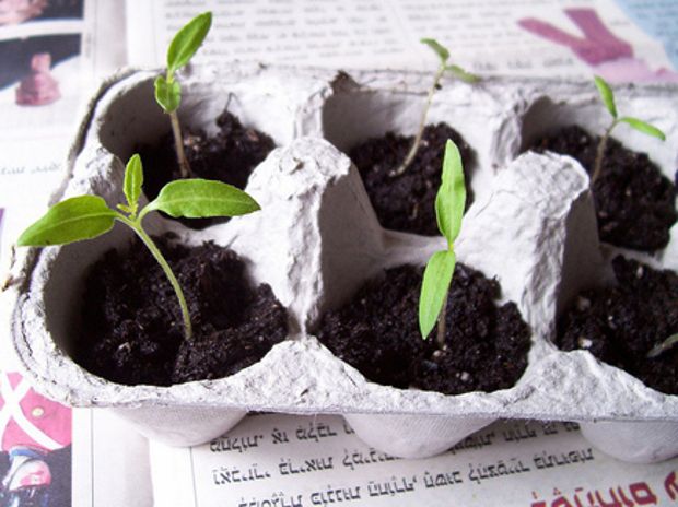 Ιδέες για τα σκουπίδια