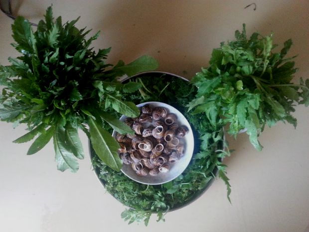 Ιστορίες της Κρήτης: το μαγγίρι της Μαριώς