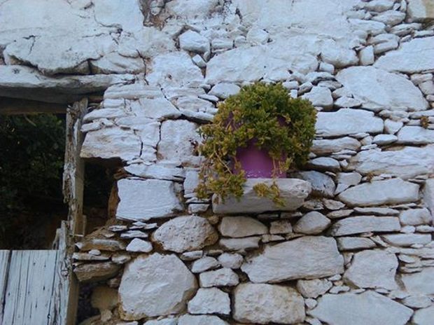 Ιστορίες της Κρήτης: ξινόχοντρος του καλοκαιριού