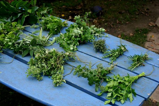 Και αρωματουρισμός;