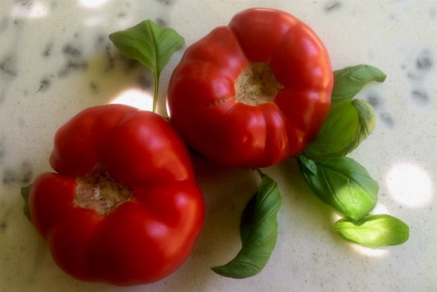 Καλό καλοκαίρι με ντομάτα ντοματένια!