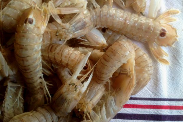 Κανιόκες ξανά!