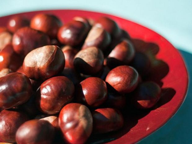 Κάστανα τσιμπημένα