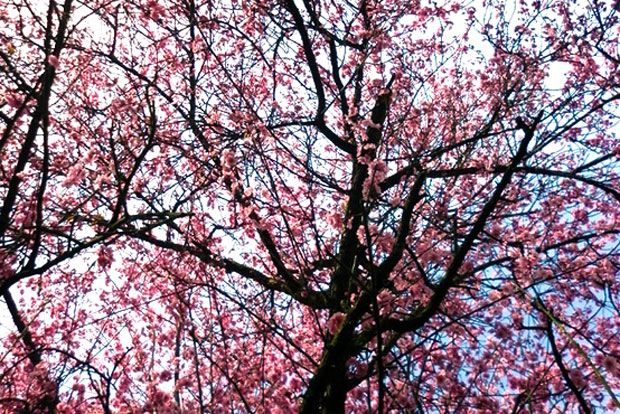 Κάτι να κρατηθώ