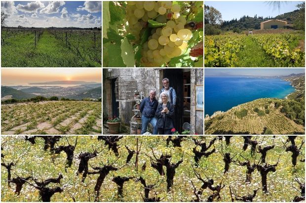 Kefalonia Wines: Σύνδεσμος Οινοποιών Κεφαλονιάς ΣΟΚ