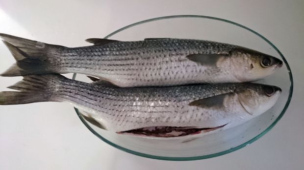 Κέφαλος επί τρία: φιλέτο, κοιλιά τηγανητή, αυγά μαγιονέζα