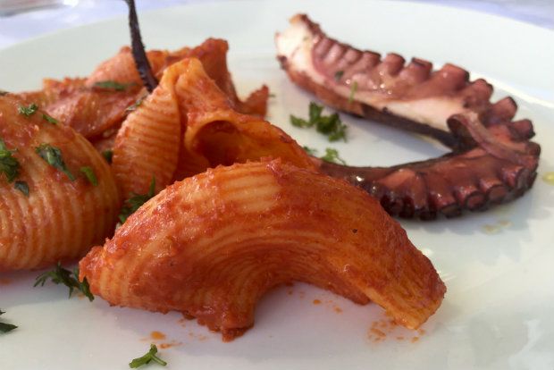 Κελύφη σαλιγκαριού (ριγέ) στη σύβραση με κόκκινη σάλτσα οκτάποδα και οκτάποδα