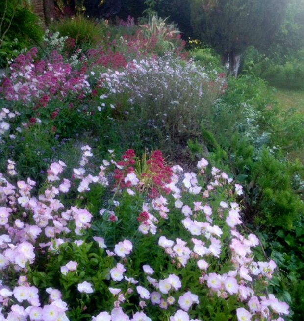 Κέρκυρα: Ο κήπος στα μέσα του Μάη