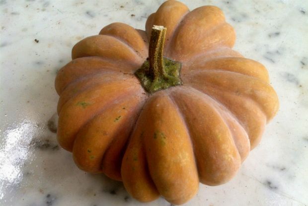 Κερκυραϊκή κολοκυθόπιτα: εδώ την λέμε σπουρδόπιτα