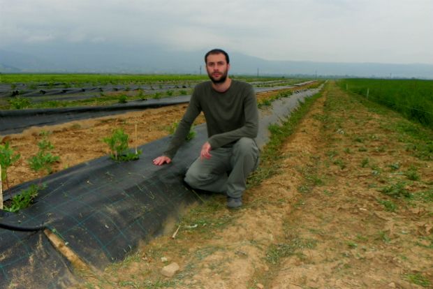 Κι εμείς παράγουμε μύρτιλλα!