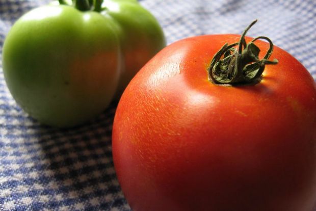 Κι έζησαν τα λαχανικά καλά κι εμείς καλύτερα