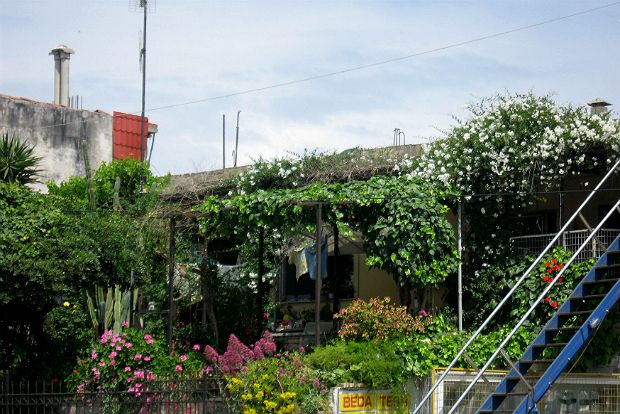 Κήποι απρόβλεπτοι, πολύτιμοι