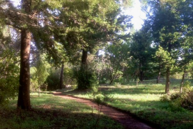 Κήπος δεν είναι μόνο τα φυτά