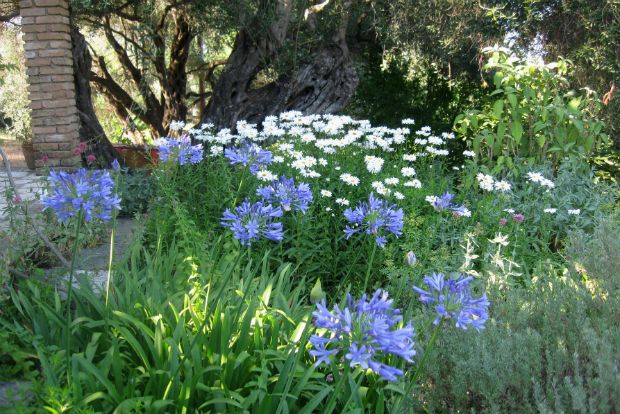 Κήπος: ο δρόμος της νιότης