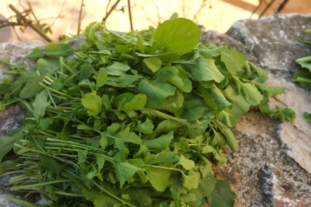 Κοφτό μακαρονάκι με αυγά ρέγγας, ρόκα και στάκα