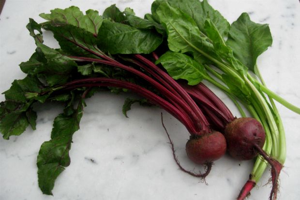 “Κοκκινογούλια” και παντζάρια