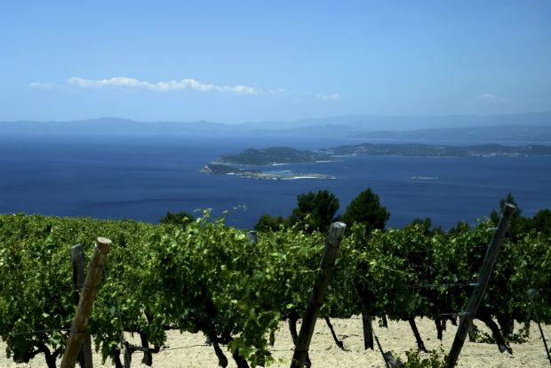 Κουζίνα αξιώσεων στον Άθω