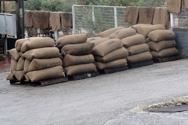 Κρητικό ελαιόλαδο: απαντήσεις στα προβλήματα