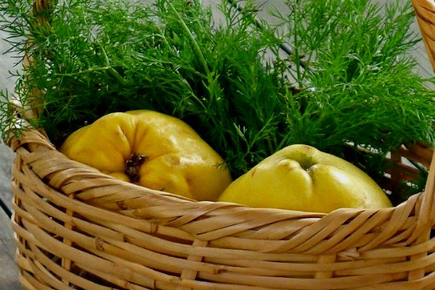 Κυδώνια ανατολίτικα, χορταστικά