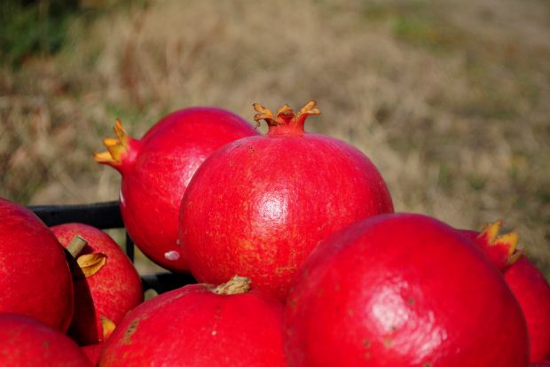 Όλα είναι ρόδινα