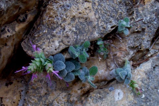 Όλα για τον έρωντα