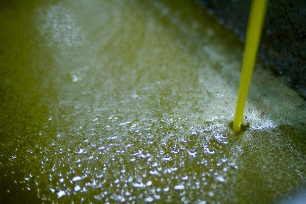 Λιοτριβιάρη, άκουσέ με