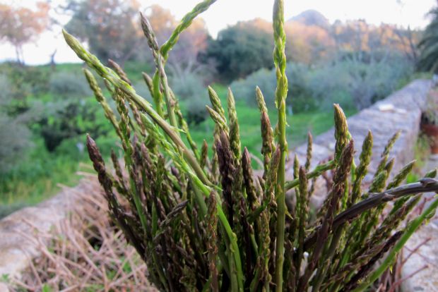 Άλλο οβριές κι άλλο σπαράγγια