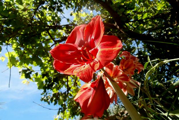 Μάης: ανθίζουν όλα ξέφρενα!