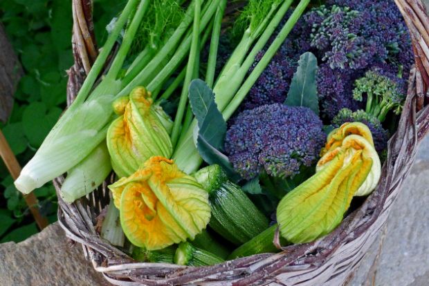 Μάραθα είναι, Δημήτρη!