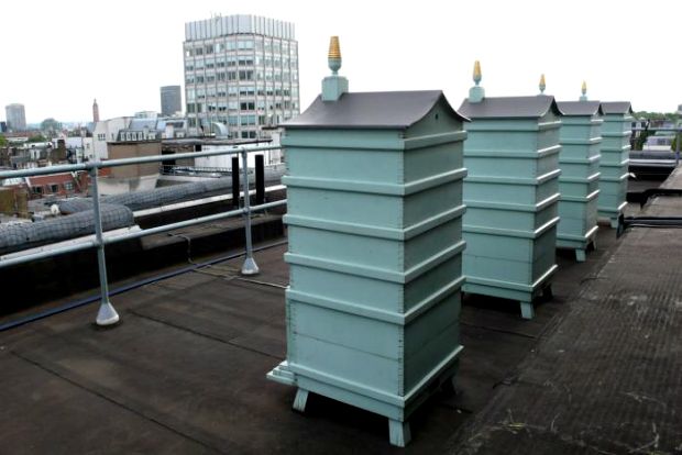 Μας βάζουν πάλι τα γυαλιά