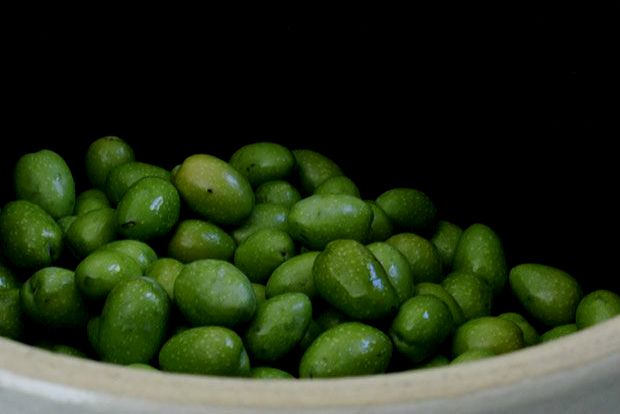 Μαζέψτε τις ελιές νωρίς!