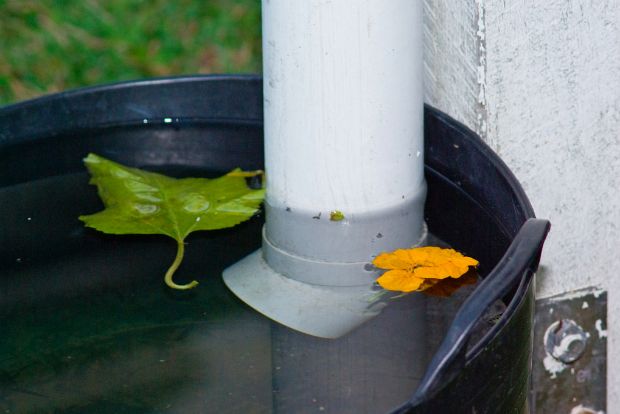 Μαζεύω το πολύτιμο βρόχινο νερό