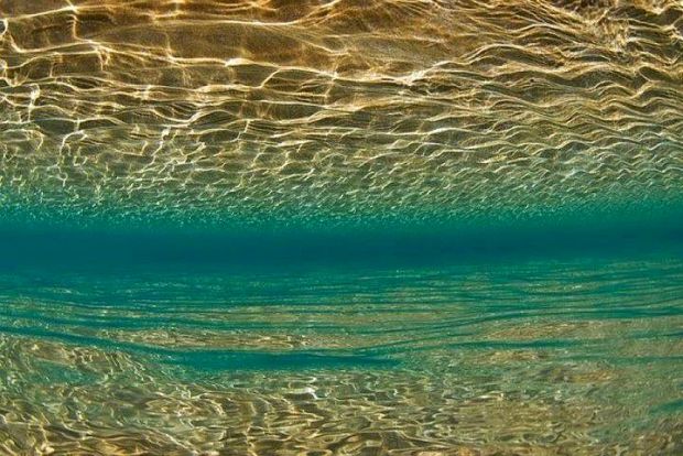 Μεσ’ σ’ αυτή τη βάρκα: μαζεύοντας βόνγκολε