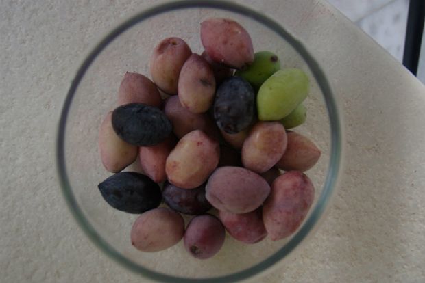 Μεζεδάκι ελιάς για πολύ μερακλήδες