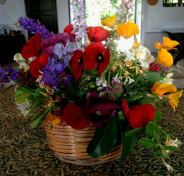 Μια αγκαλιά παπαρούνες