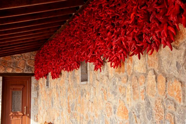 Μία και να καίει: πιπεριά Φλωρίνης