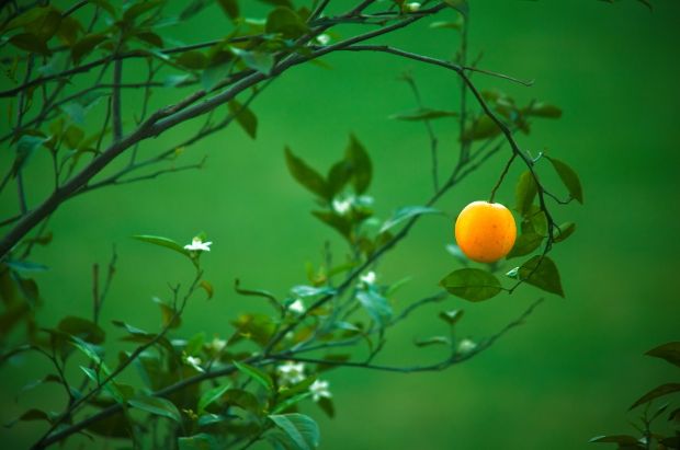 Μια παλιά αγάπη