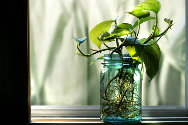 Mobile γλάστρες σε μικρό μπαλκόνι